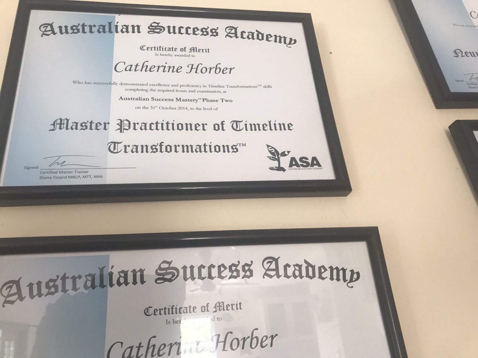 Master Practitioner of Timeline Transformations certificate